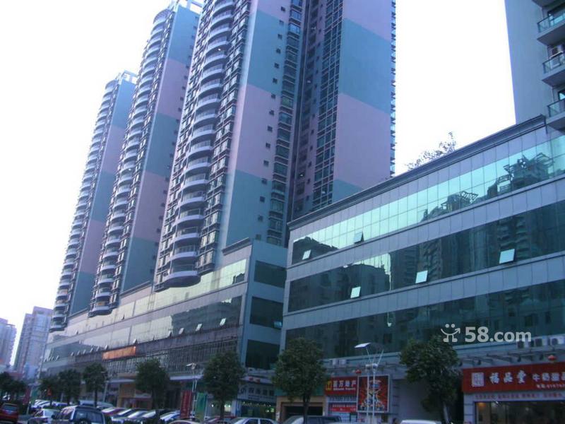 东莞市百万房地产经纪工作环境分析 职业温度与企业责任